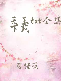 天王txt全集下载