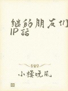 继的朋友们SVIP话