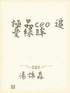 极品ceo 追爱绿眸