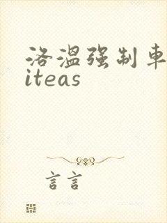 洛温强制车writeas