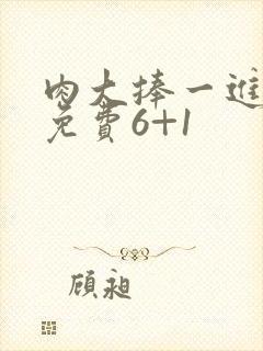 肉大捧一进一出免费6+1