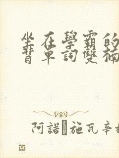 坐在学霸的棍子背单词双楠