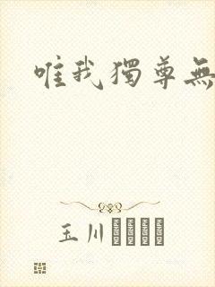 唯我独尊无弹窗