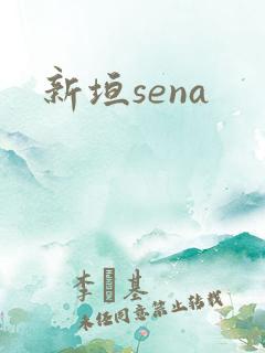 新垣sena