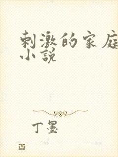 刺激的家庭乱仑小说