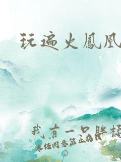 玩遍火凤凰队员