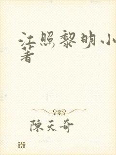 江照黎明小说原著