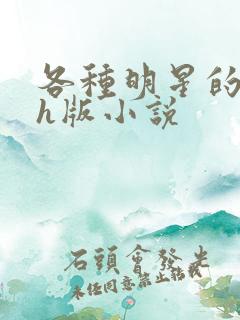 各种明星的综艺h版小说