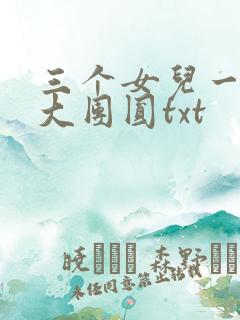 三个女儿一锅烩大团圆txt