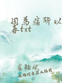 因为痛所以叫青春txt