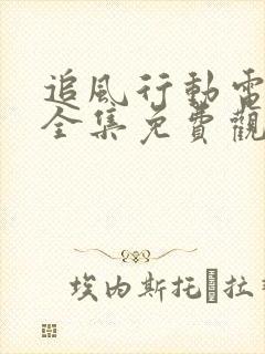 追风行动电视剧全集免费观看