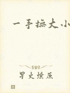 一手抚大小说