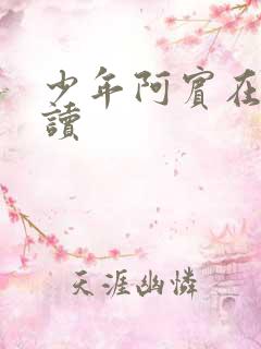 少年阿宾在线阅读