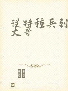 从特种兵到黑道大哥