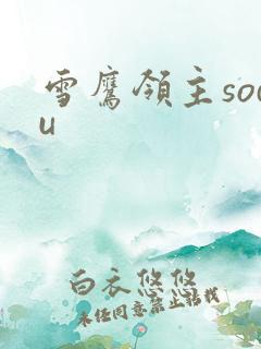 雪鹰领主sodu
