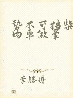 势不可挡柴鸡蛋肉车做晕