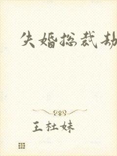 失婚总裁劫前妻