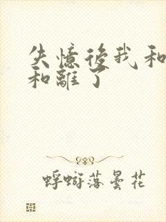 失忆后我和王爷和离了