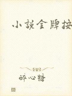 小说金牌按摩师