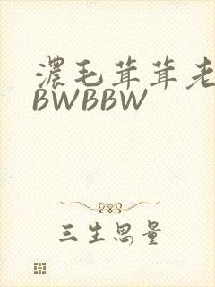 浓毛茸茸老太BBWBBW