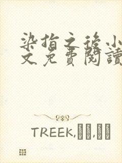 染指之后小说全文免费阅读