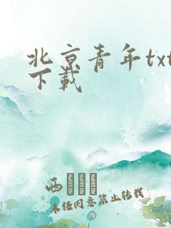 北京青年txt下载
