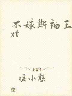 不嫁断袖王爷txt