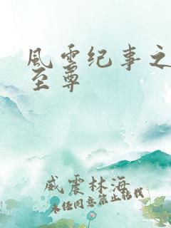 风云纪事之唯武至尊