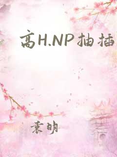 高H.NP抽插