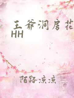 王爷洞房花烛夜HH