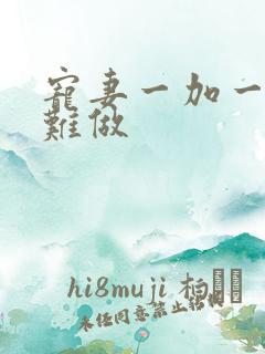 宠妻一加一老婆难做