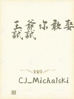 王爷你敢娶小三试试