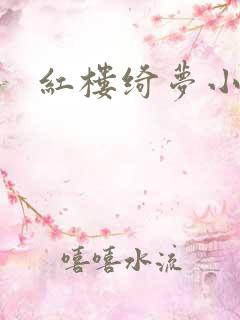 红楼绮梦小说