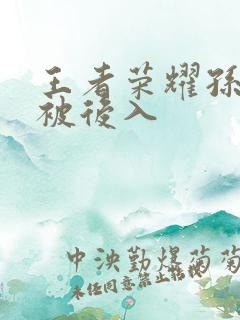 王者荣耀孙尚香被后入