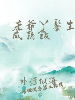 老爷丫鬟生米煮成熟饭