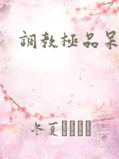 调教极品呆夫