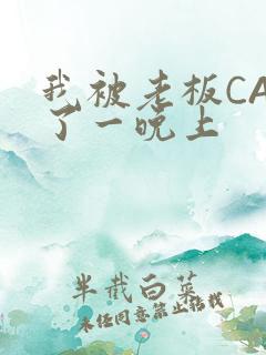 我被老板CAO了一晚上