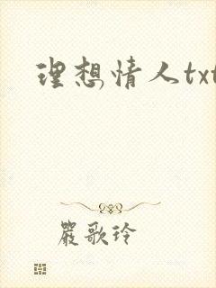 理想情人txt