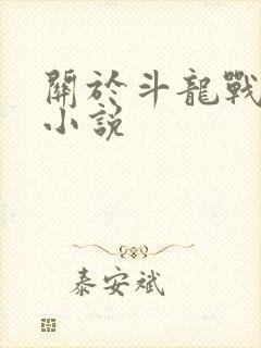 关于斗龙战士的小说