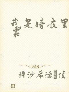 我是暗夜里的罂粟