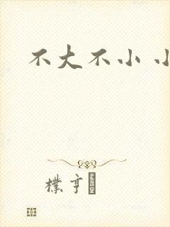 不大不小 小说