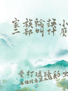 家族轮换小说第二部叫什么名字