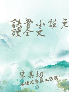 铁骨小说免费阅读全文