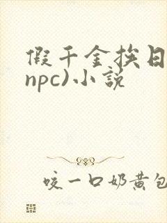 假千金挨日记(npc)小说