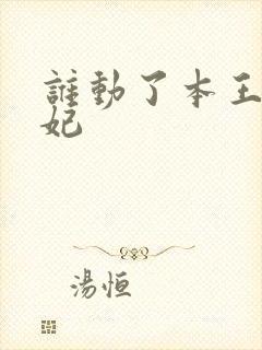 谁动了本王的悍妃