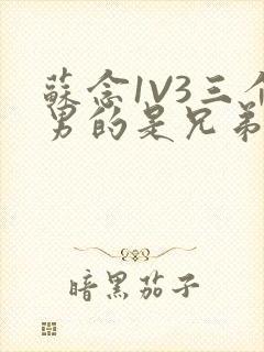 苏念1V3三个男的是兄弟