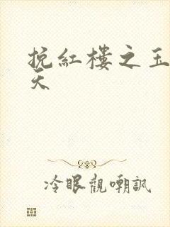 挽红楼之玉舞九天