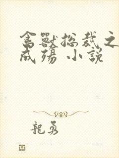 禽兽总裁之虐爱成殇 小说