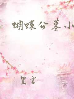 蝴蝶公墓小说