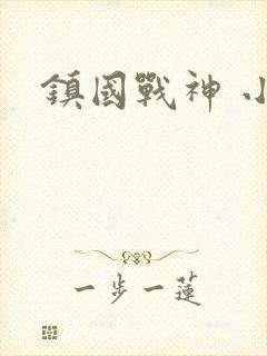 镇国战神 小说